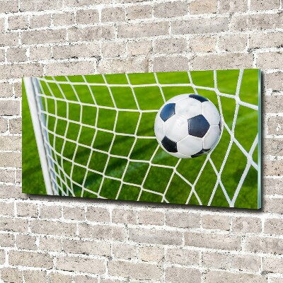 Bild auf Acrylglas Der Ball ist im Tor