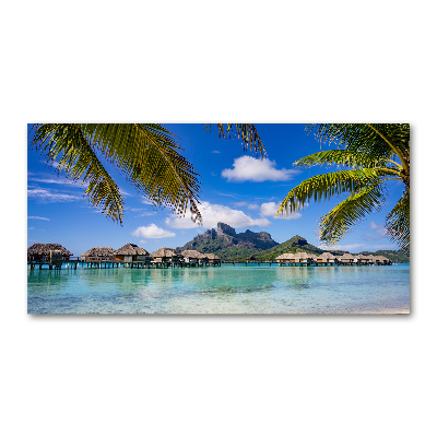 Bild auf Acrylglas Palmen in Bora Bora