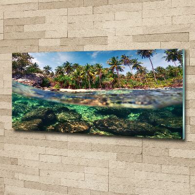 Foto auf Acryl Tropischer Strand
