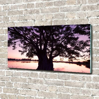 Foto auf Acryl Baum und See
