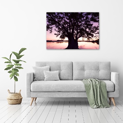 Foto auf Acryl Baum und See