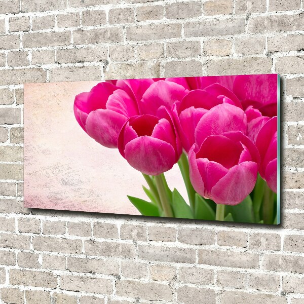 Bild auf Acrylglas Rosa Tulpen