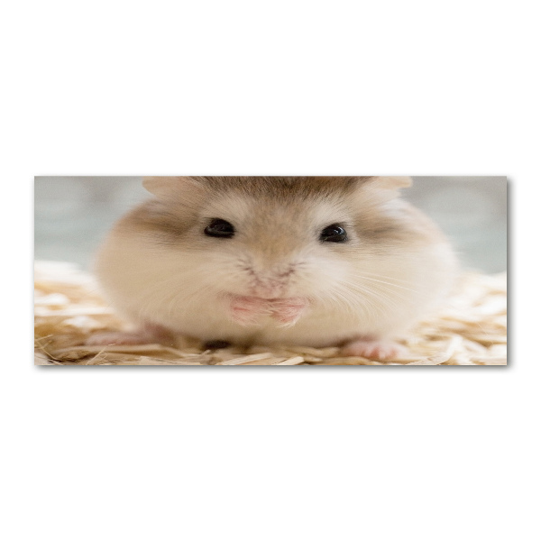Acrylglas-Druck Hamster