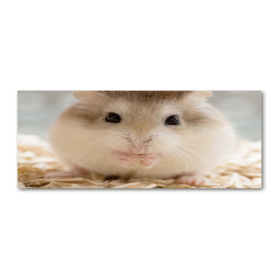 Acrylglas-Druck Hamster