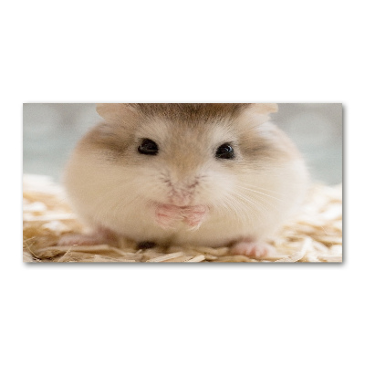 Acrylglas-Druck Hamster