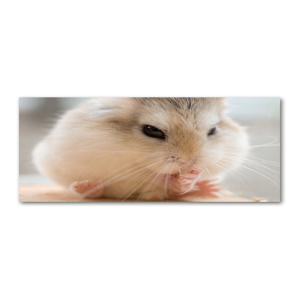 Foto auf Acryl Hamster