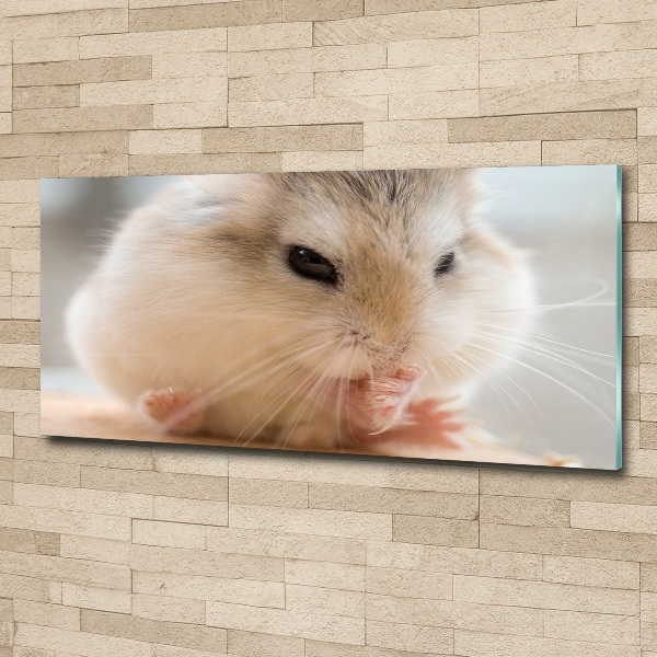 Foto auf Acryl Hamster