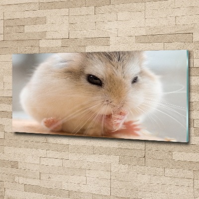 Foto auf Acryl Hamster