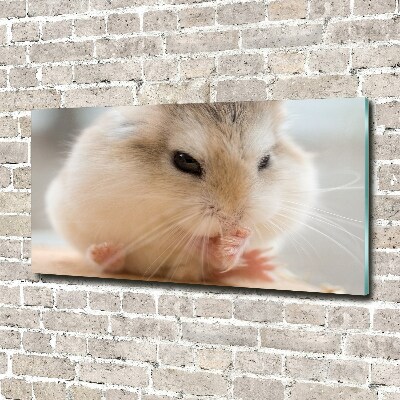 Foto auf Acryl Hamster