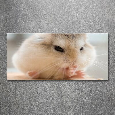 Foto auf Acryl Hamster