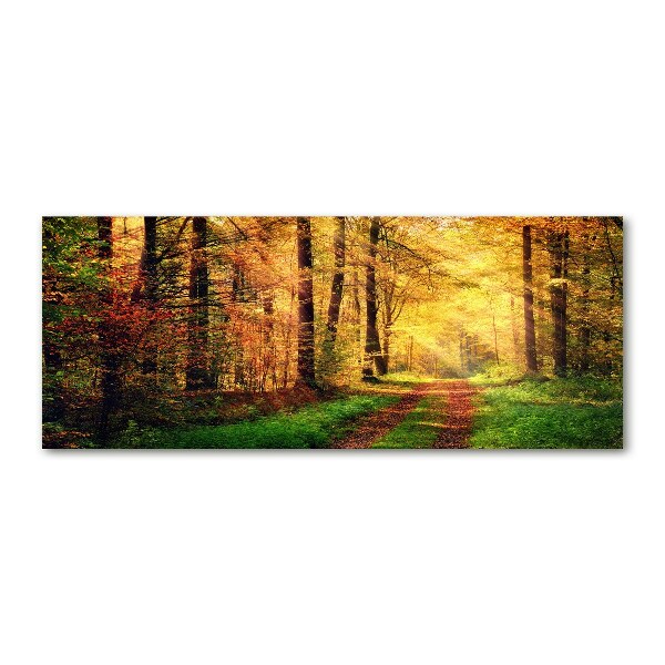 Acrylbild Fotodruck Wald im Herbst