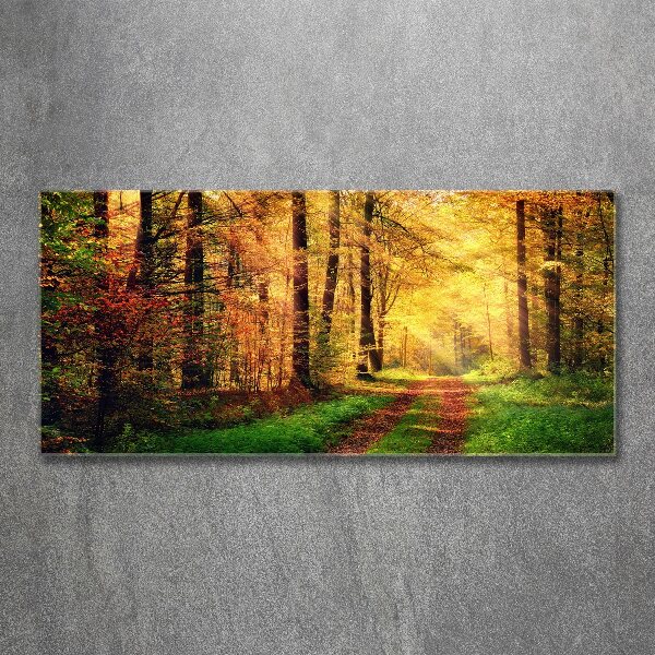 Acrylbild Fotodruck Wald im Herbst