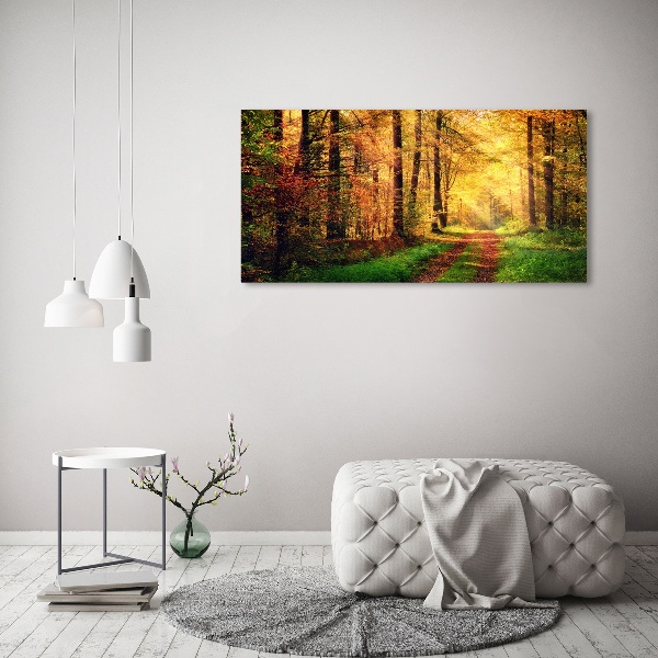 Acrylbild Fotodruck Wald im Herbst