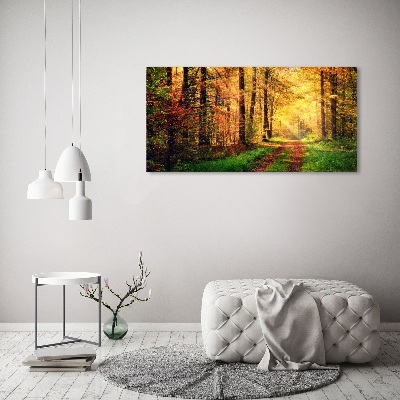 Acrylbild Fotodruck Wald im Herbst
