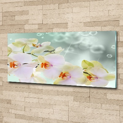 Acrylglas-Druck Weiße Orchidee