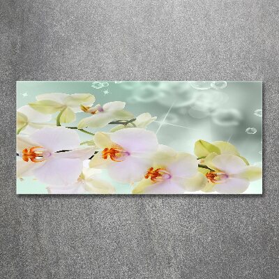 Acrylglas-Druck Weiße Orchidee
