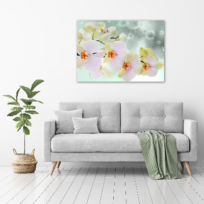 Acrylglas-Druck Weiße Orchidee