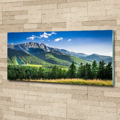 Bild auf Acrylglas Skisprungschanze in den Tatra-Bergen