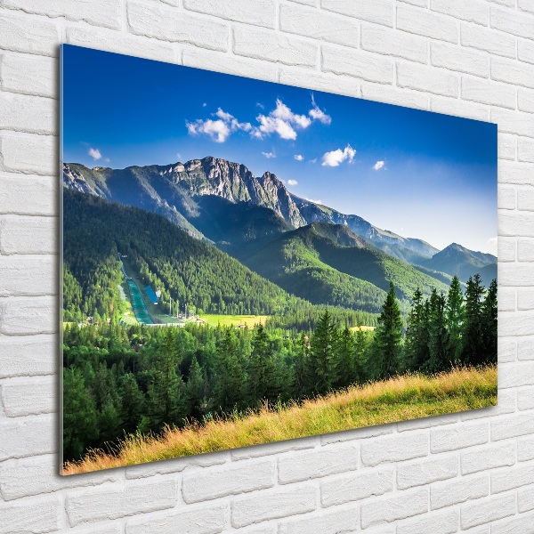 Bild auf Acrylglas Skisprungschanze in den Tatra-Bergen