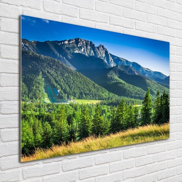 Acrylbild Fotodruck Skisprungschanze in den Tatra-Bergen