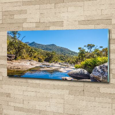 Acrylglas-Druck Fluss im Wald