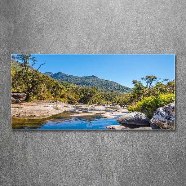 Acrylglas-Druck Fluss im Wald