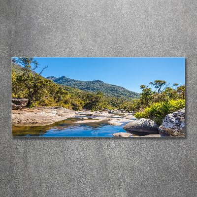 Acrylglas-Druck Fluss im Wald