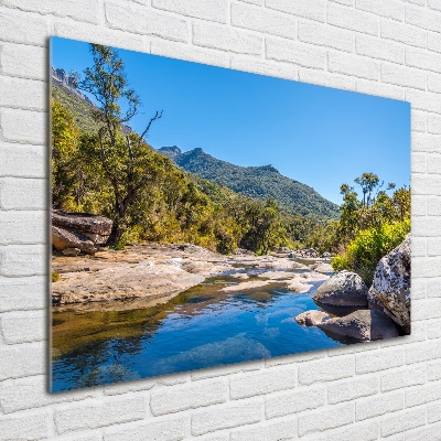 Acrylglas-Druck Fluss im Wald