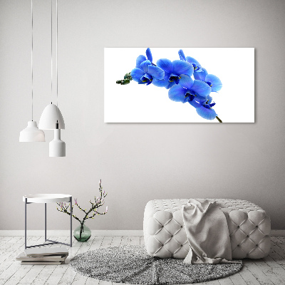 Foto auf Acryl Blaue Orchidee