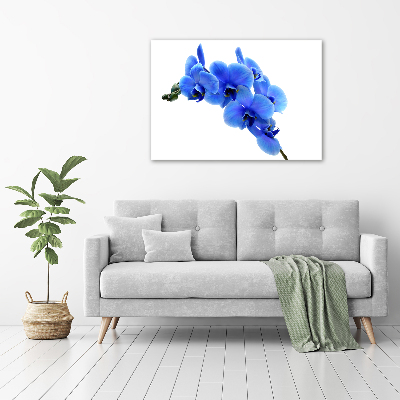 Foto auf Acryl Blaue Orchidee