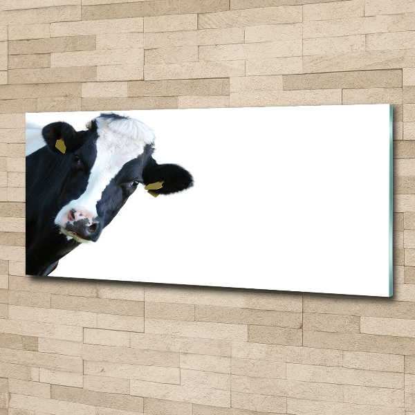 Acrylbild Fotodruck Kuh