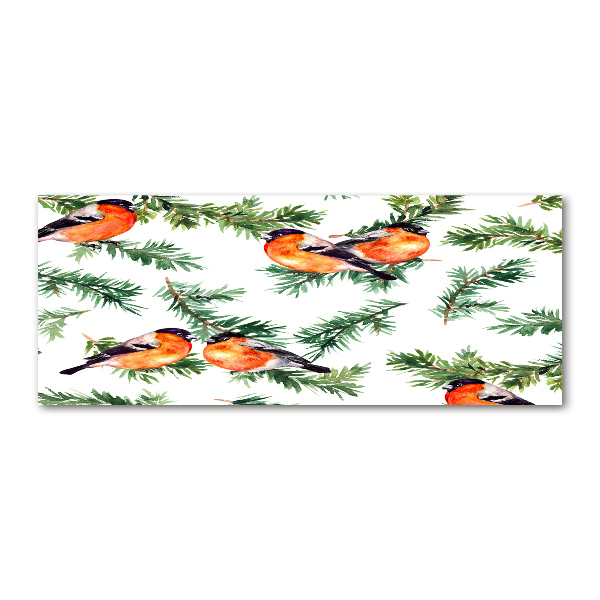 Acrylbild Fotodruck Rotkehlchen auf einer Nadelbaum