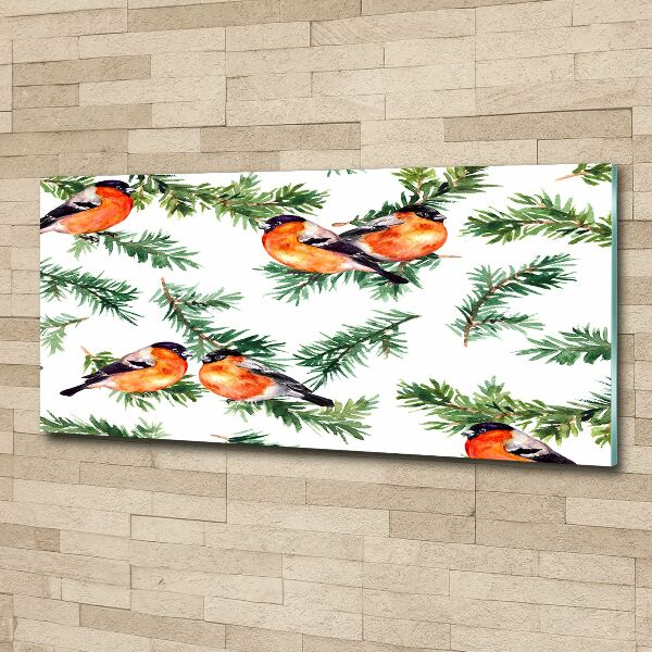 Acrylbild Fotodruck Rotkehlchen auf einer Nadelbaum