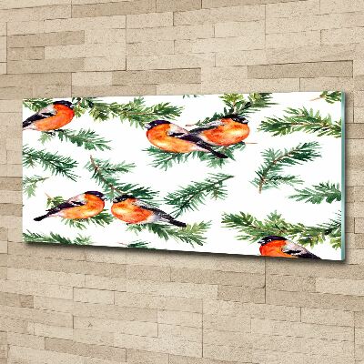 Acrylbild Fotodruck Rotkehlchen auf einer Nadelbaum