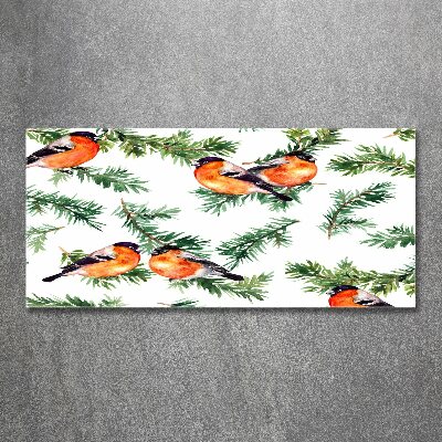 Acrylbild Fotodruck Rotkehlchen auf einer Nadelbaum