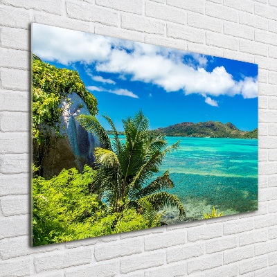 Acrylbild Fotodruck Küste der Seychellen