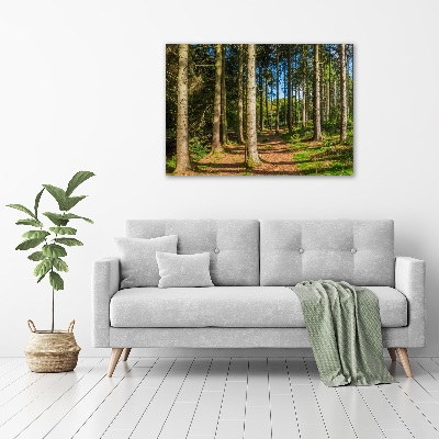 Foto auf Acryl Waldpanorama
