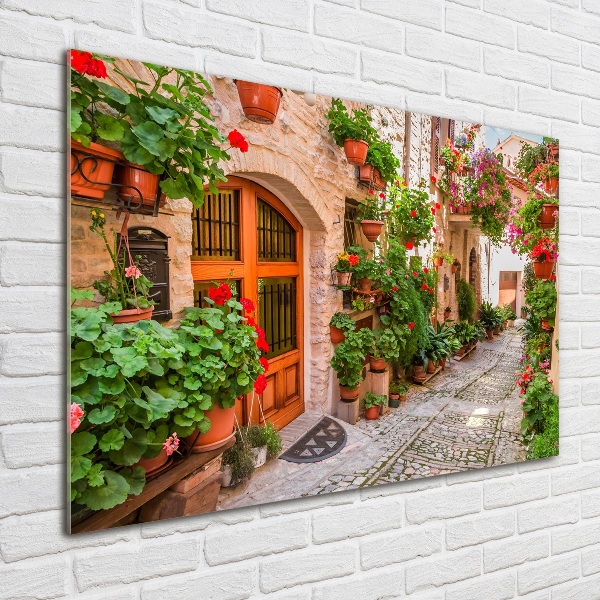 Bild auf Acrylglas Eine charmante Straße