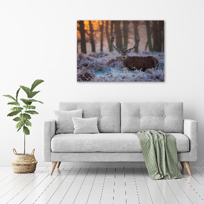 Bild auf Acrylglas Hirsche bei Sonnenaufgang