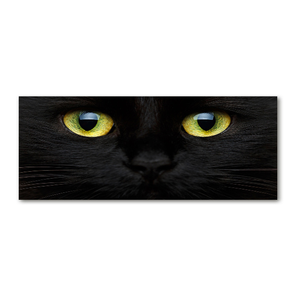 Acrylbild Fotodruck Katzenaugen