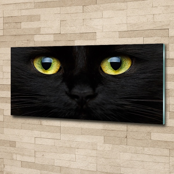 Acrylbild Fotodruck Katzenaugen