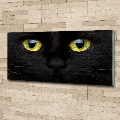 Acrylbild Fotodruck Katzenaugen