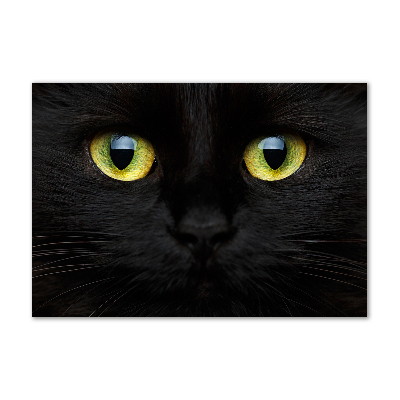 Acrylbild Fotodruck Katzenaugen