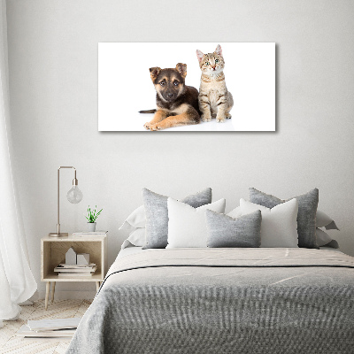 Acrylglas-Druck Hund und Katze