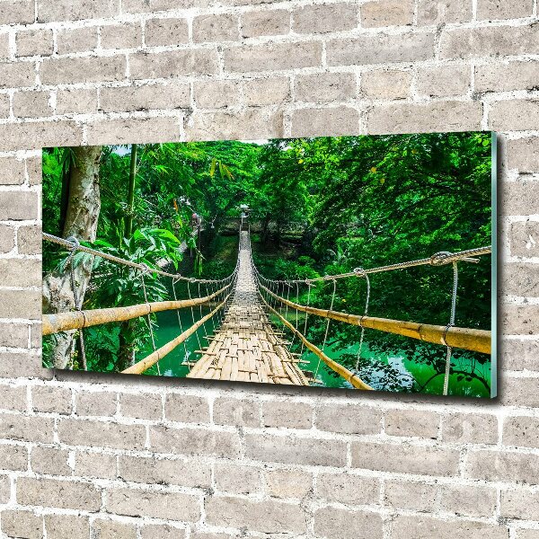 Foto auf Acryl Brücke durch den Tropenwald