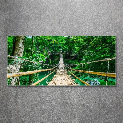 Foto auf Acryl Brücke durch den Tropenwald