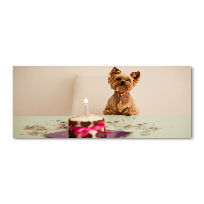 Foto auf Acryl Hund mit Kuchen