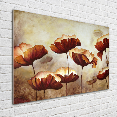 Bild auf Acrylglas Mohnblumen
