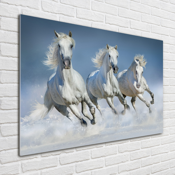Acrylbild Fotodruck Pferde im Galopp