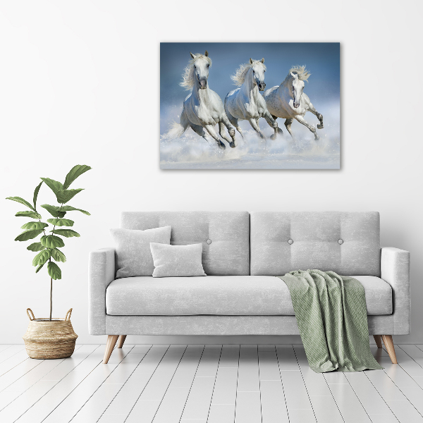 Acrylbild Fotodruck Pferde im Galopp